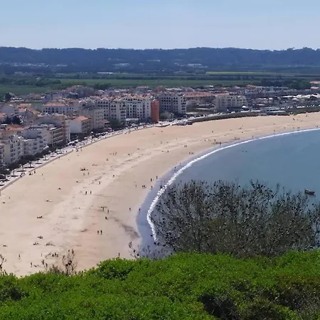 Terra Da Eira T1 - Sun, Sea And Relax * 劳林哈